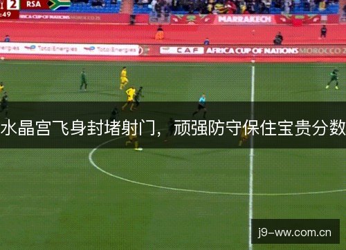 水晶宫飞身封堵射门，顽强防守保住宝贵分数